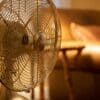 white stand fan turned on in room