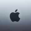 A dark apple logo centered on a smooth grey metallic surface