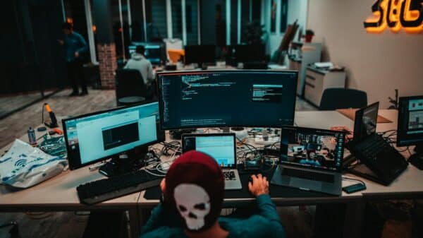 person using laptops